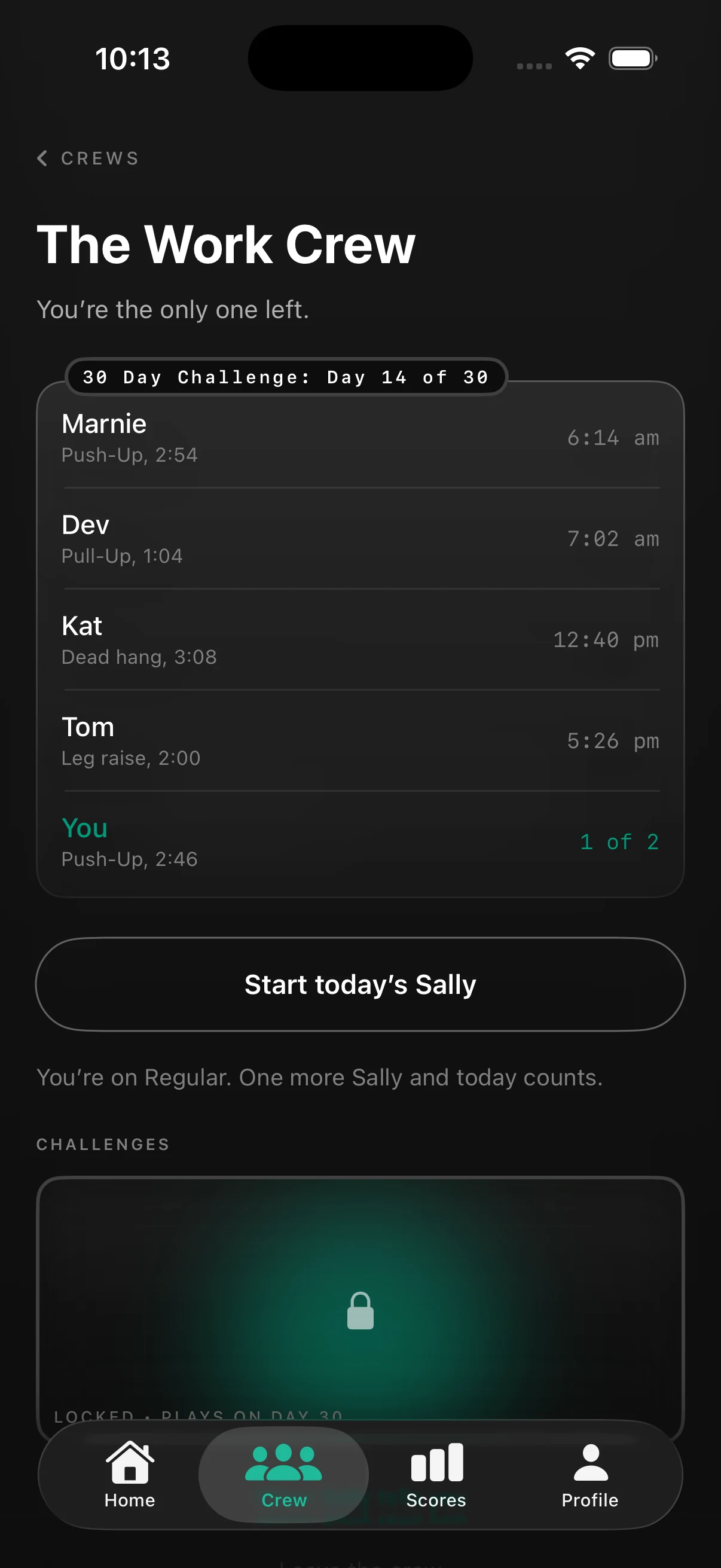 The crew screen: a thirty day challenge on day fourteen, four people with the time each of them did their Sally, and you still to go.